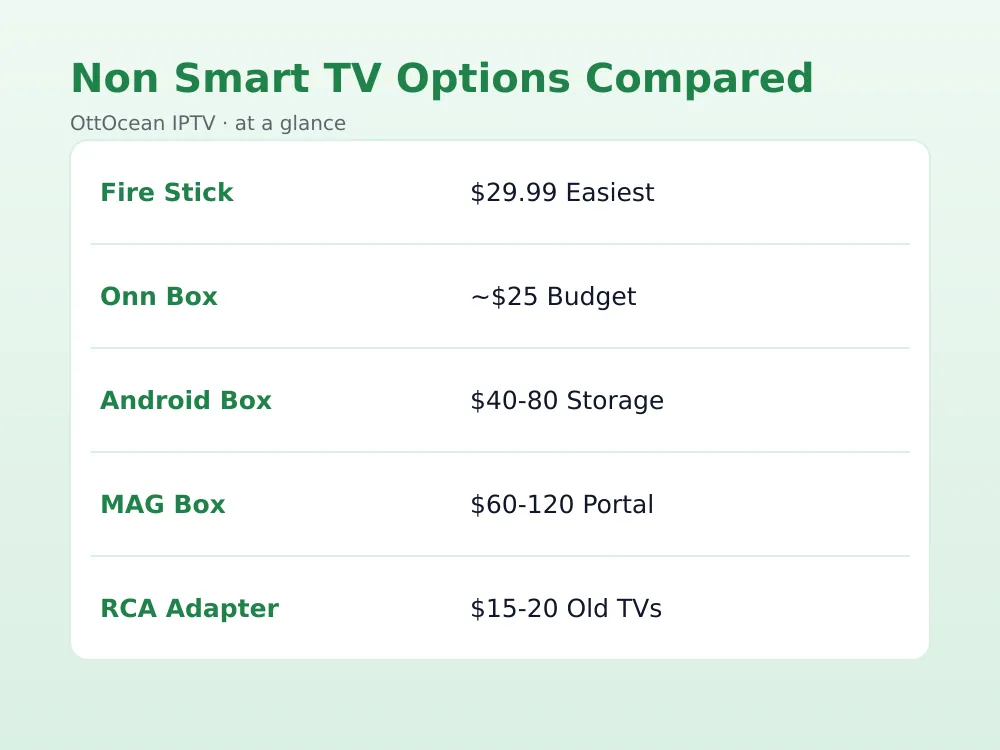 MAG box portal setup screen for iptv on non smart tv